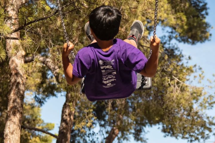 pasos para adopcion nacional