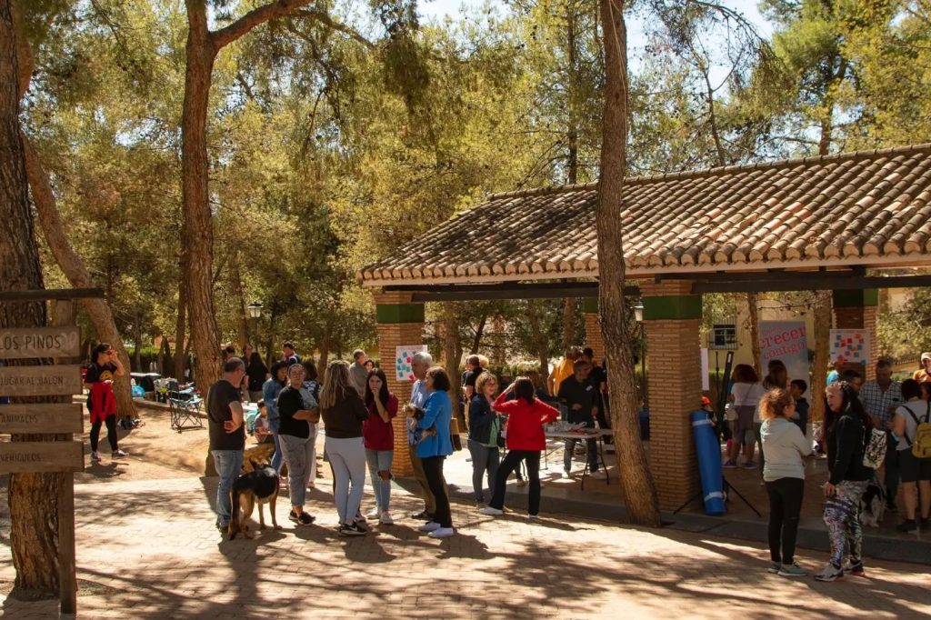AFAM asociacion de adopcion y acogimiento